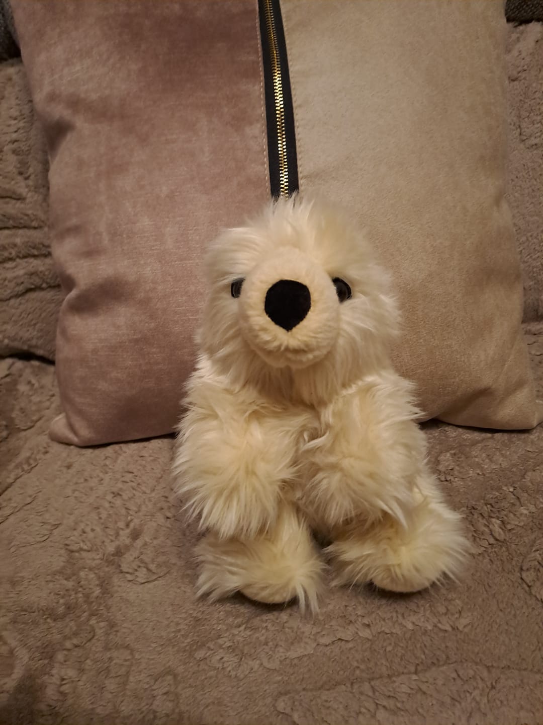 Customer photo review of Ma peluche Ours Jules