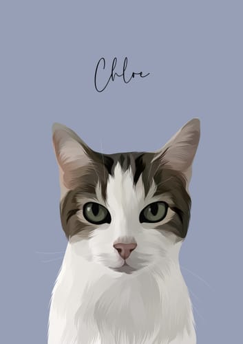 Customer photo review of Custom Hand-Drawn Illustration