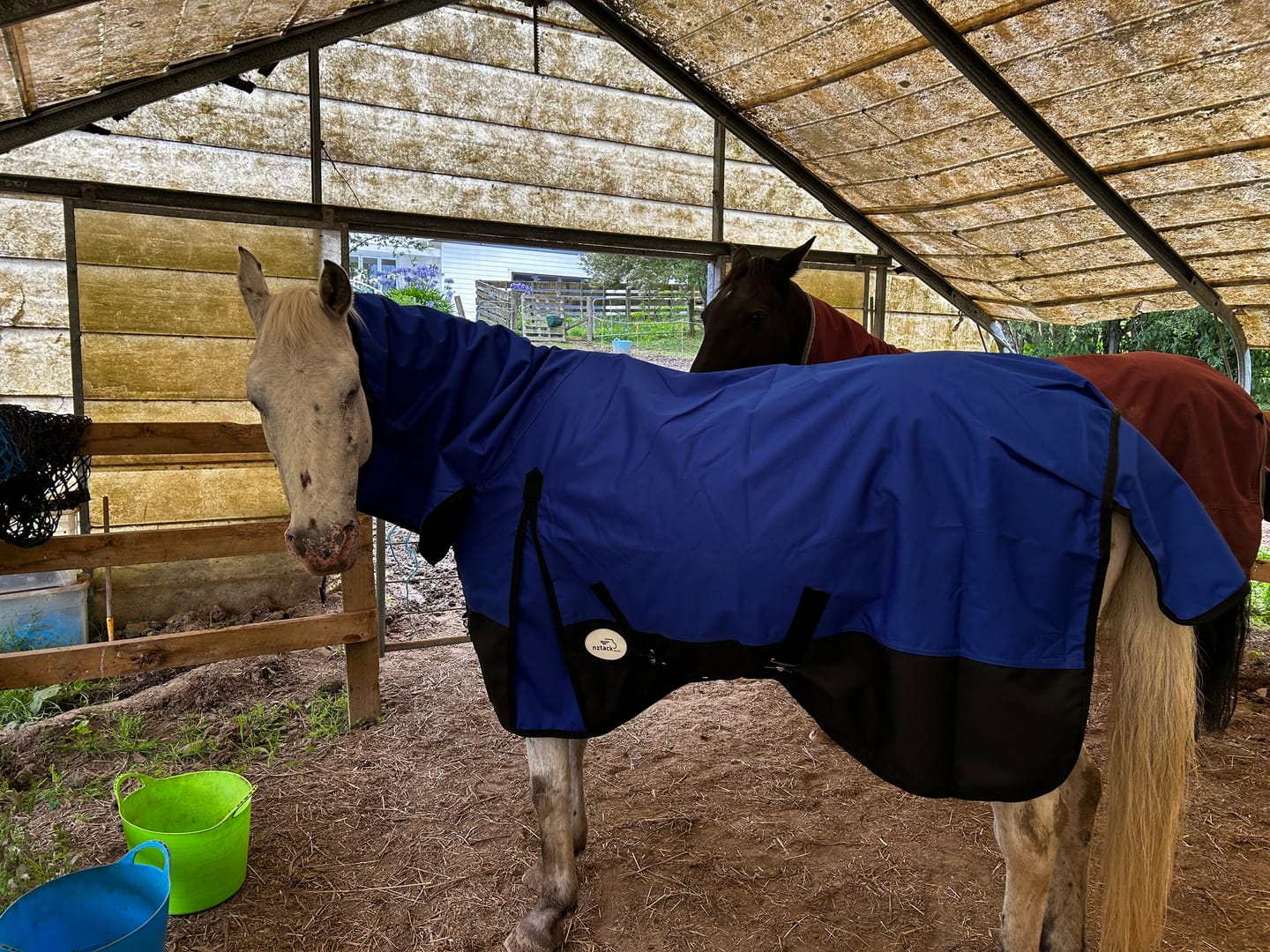 Customer photo review of Duke 1200D Combo