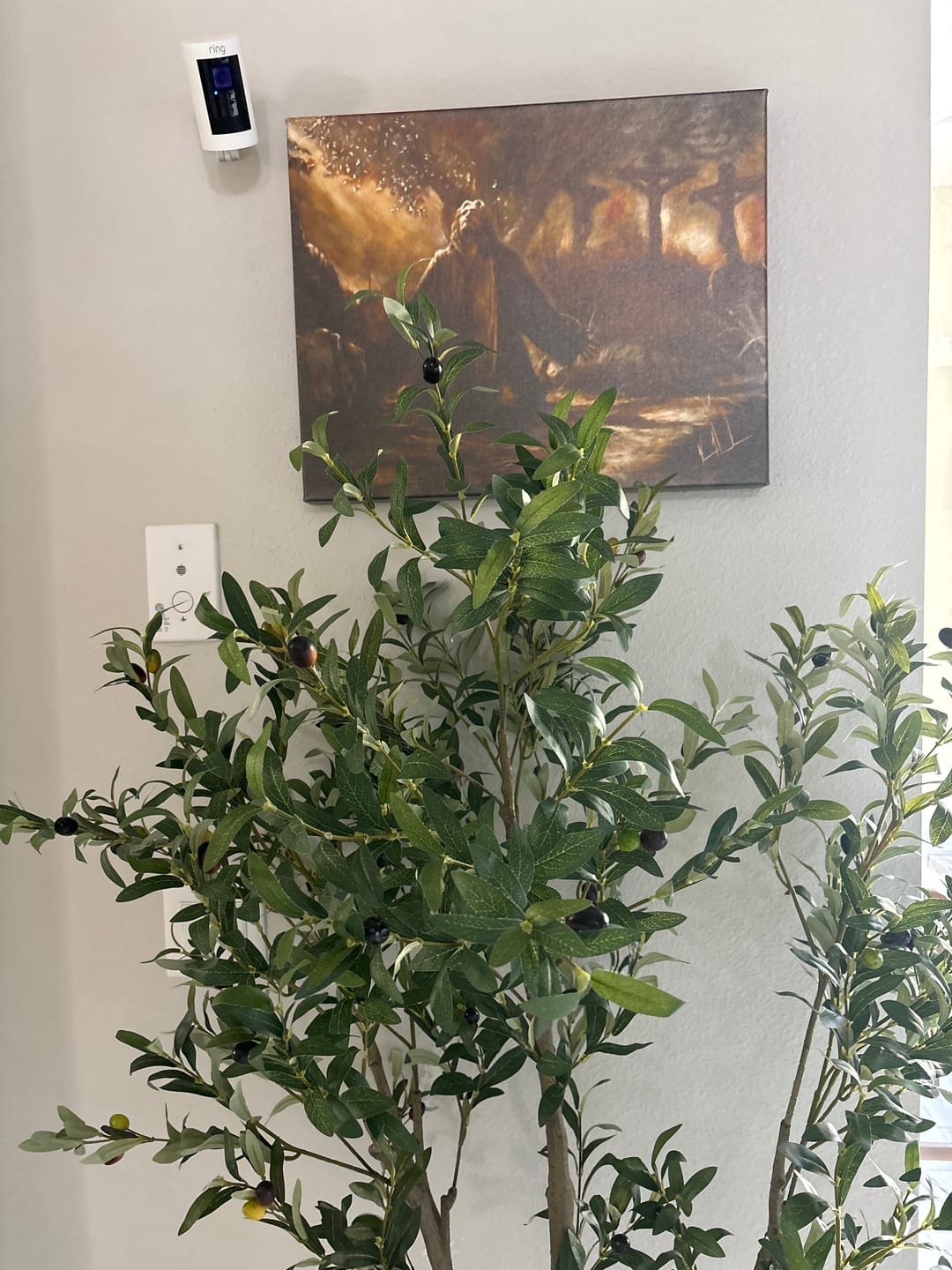 Customer photo review of Gethsemane