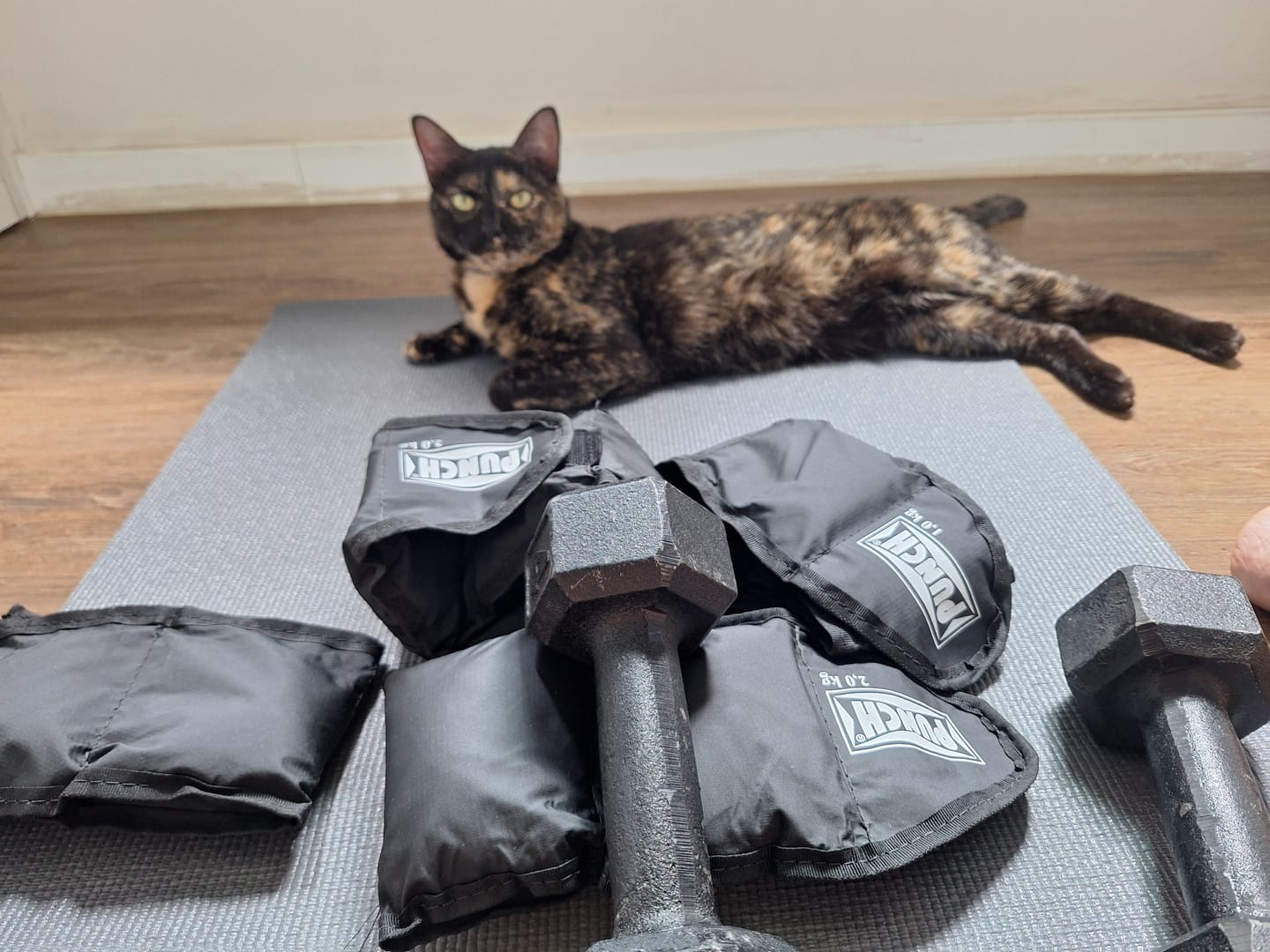 Customer photo review of Halter Sextavado Pintado