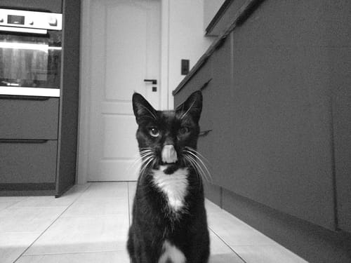 Customer photo review of NUVINT - Digitalkamera