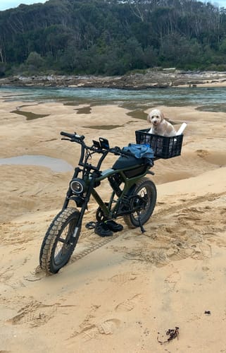 Customer photo review of The Scrambler eBike