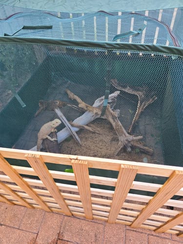 Customer photo review of PUC 1000