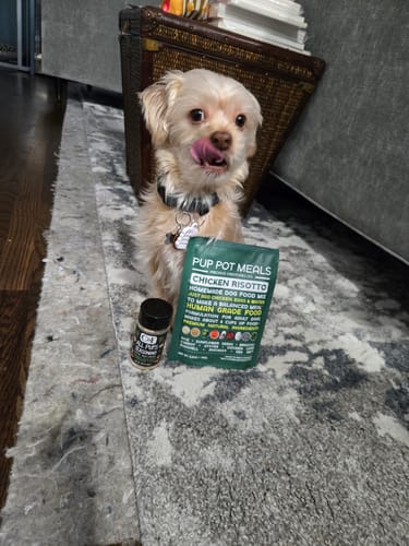 Customer photo review of All Pups Seasoning