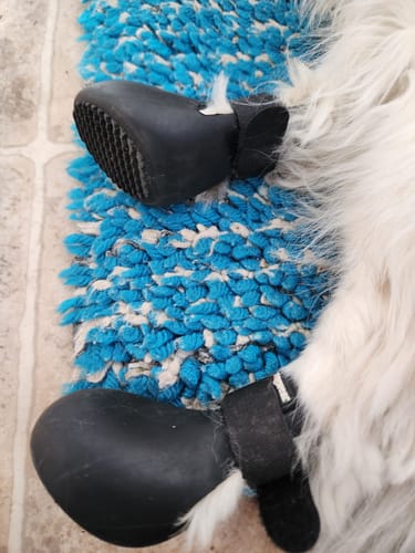 Customer photo review of WagWellies® by wagwear