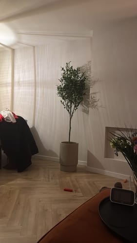 Customer photo review of Kunst Olijfboom 180cm