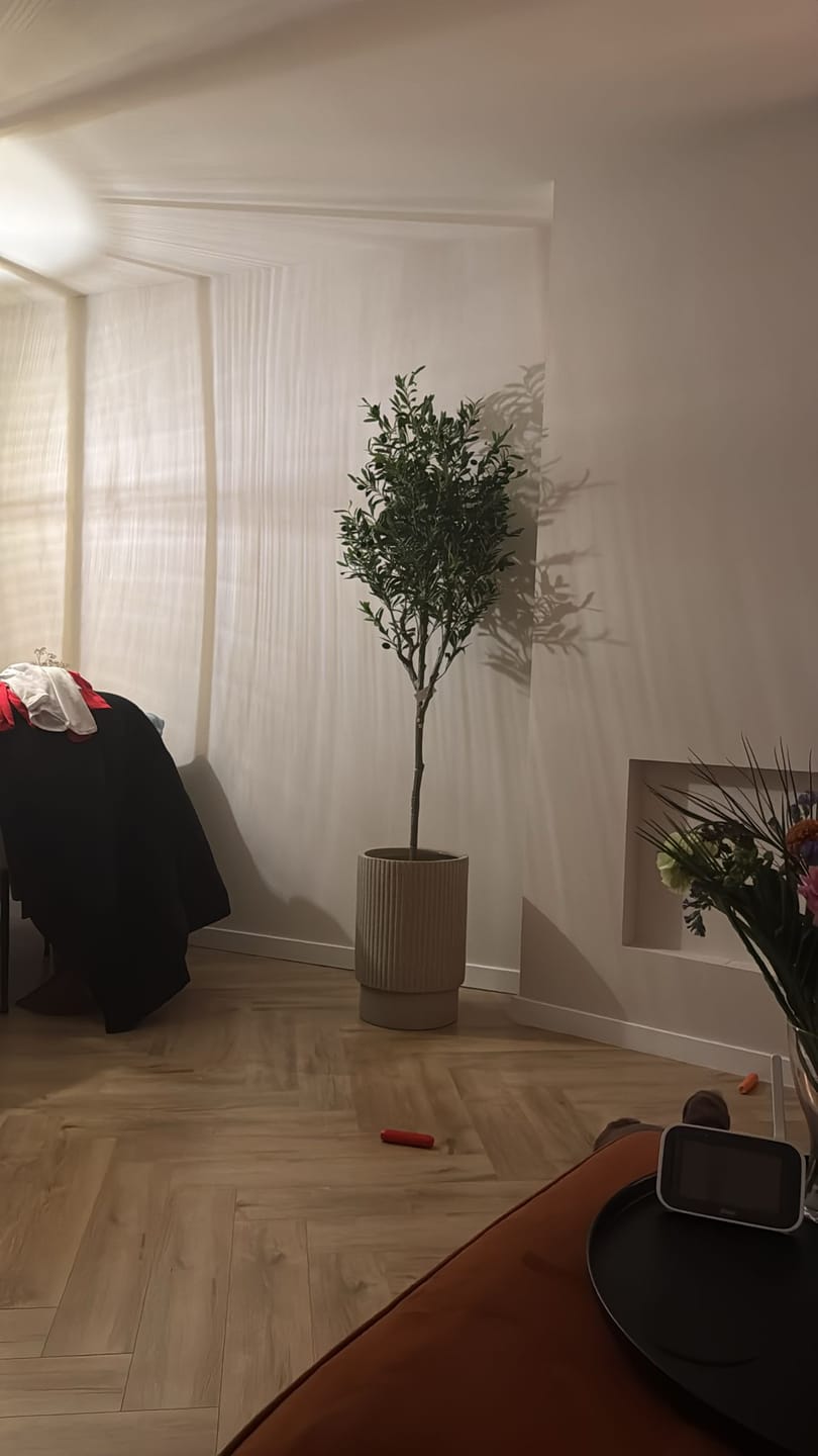Customer photo review of Kunst Olijfboom 180cm
