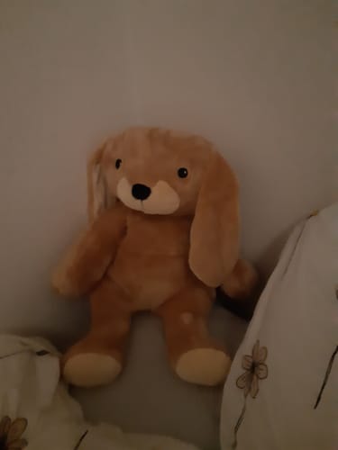 Customer photo review of Lotgenootje Konijn 2kg