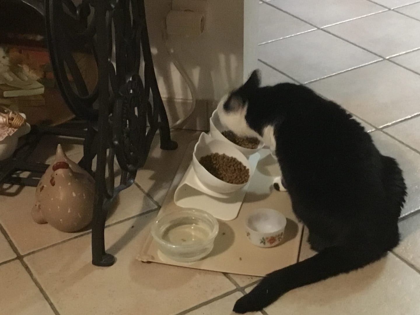 Customer photo review of Croquettes riches en poissons blancs frais (chat stérilisé)