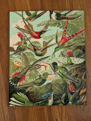 Customer photo review of Trochilidae (Hummingbirds) - Paint by Numbers