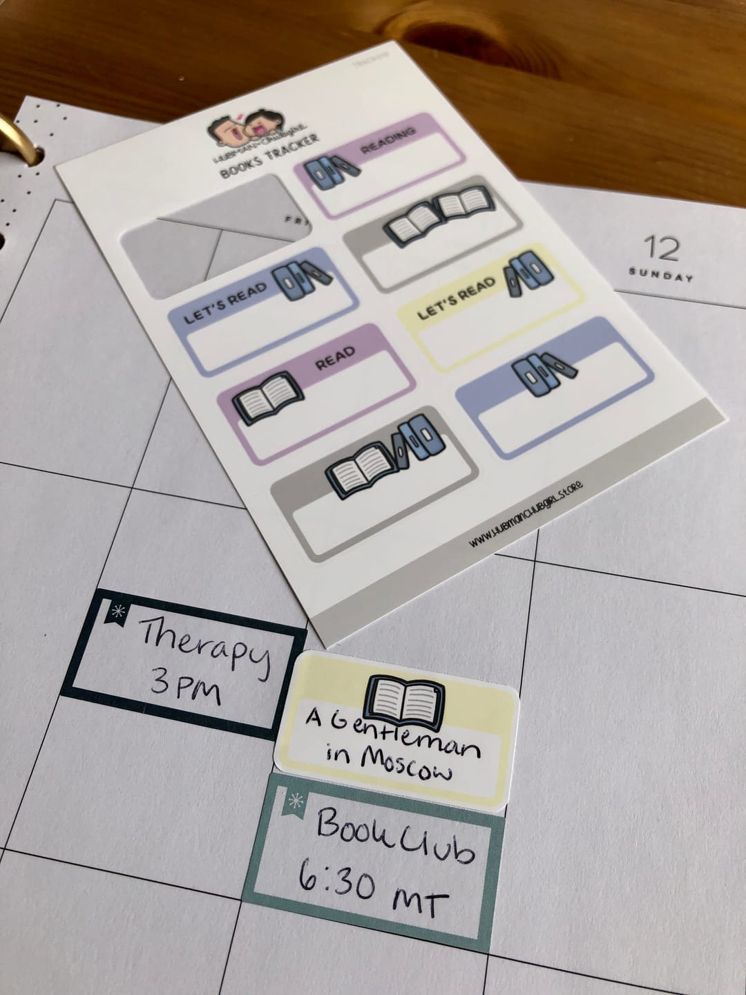 Customer photo review of Books Tracker Planner Stickers