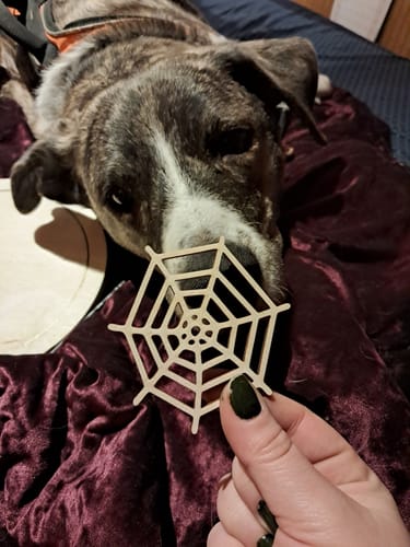 Customer photo review of Unfinished Wood Spider Web Shape - Insect - Animal - Wildlife - Craft - up to 24" DIY