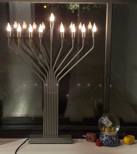 Customer photo review of Musical Hannukah Water Globe