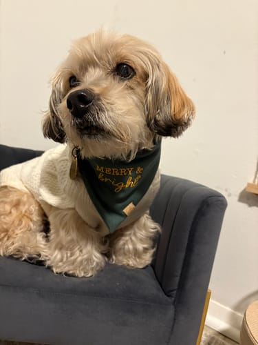 Customer photo review of Custom Saying Embroidered Bandana