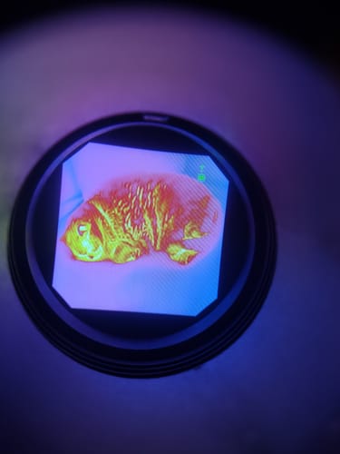 Customer photo review of [NEW] Night Operators FUSION 3.0 Thermal & NVG