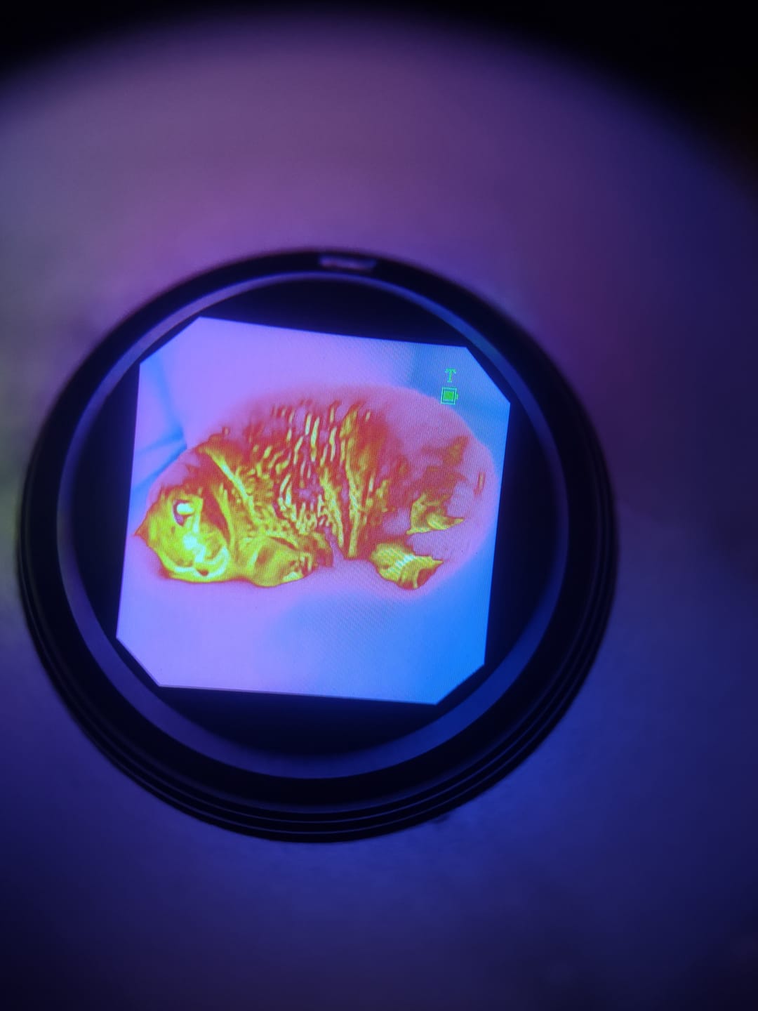 Customer photo review of [NEW] Night Operators FUSION 3.0 Thermal & NVG
