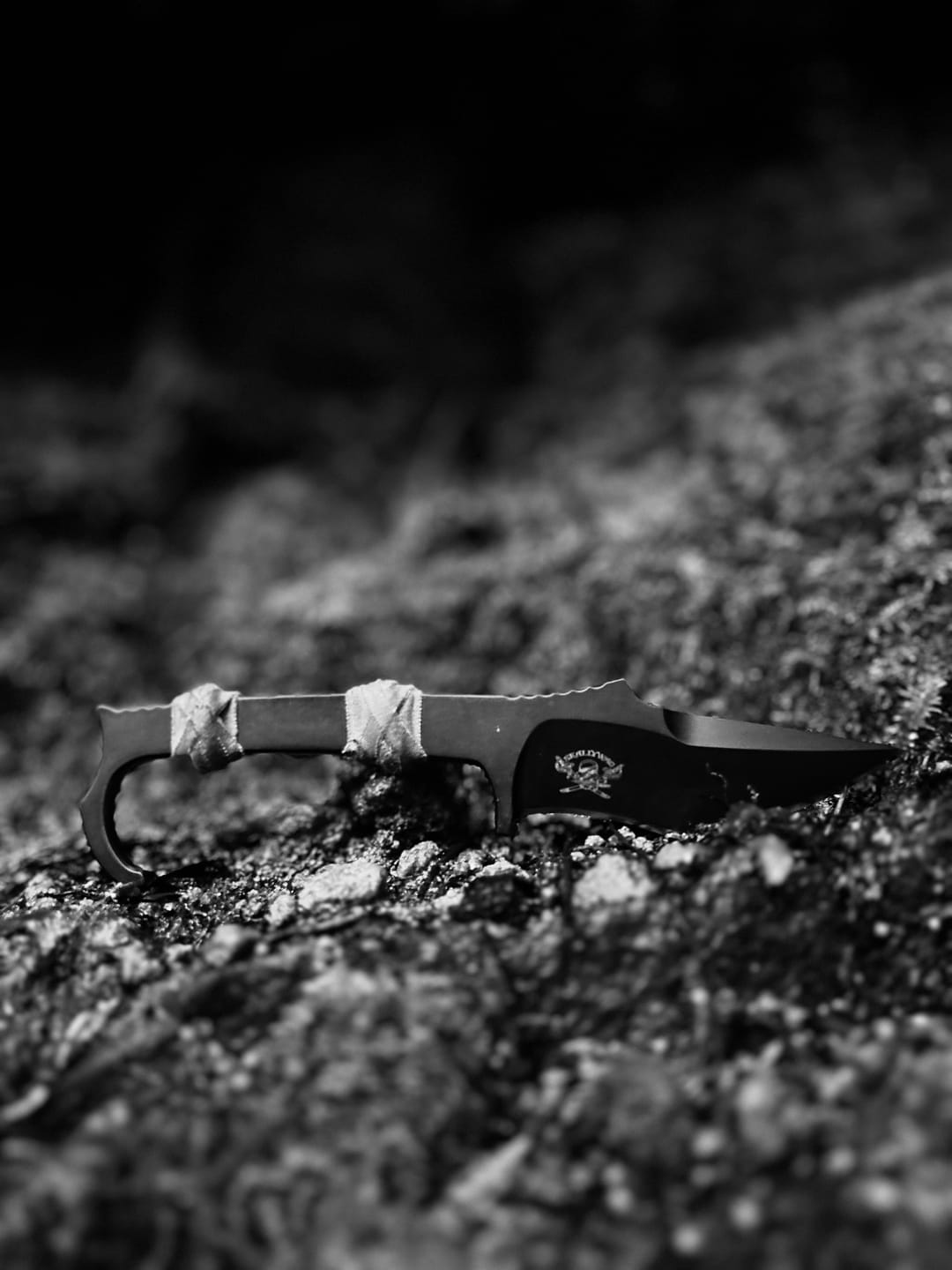 Customer photo review of MDV Plus One