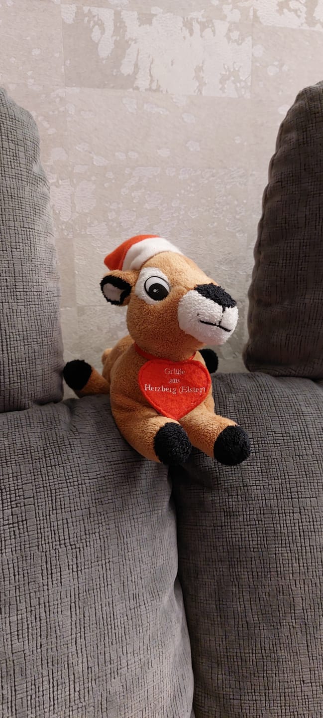 Customer photo review of Geschenkverpackung für Baumschmuck Rot