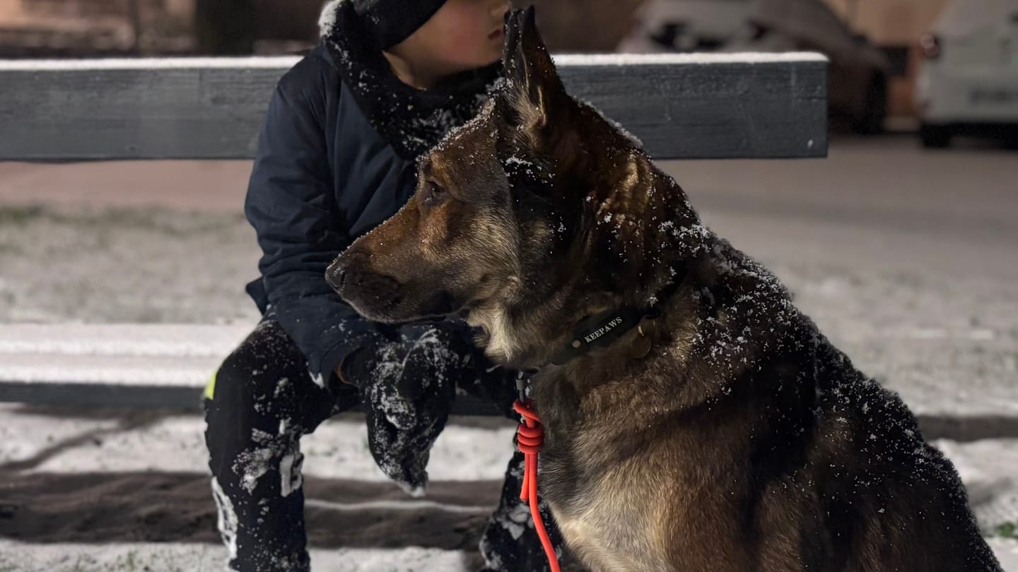 Customer photo review of Keepaws™ Tactical AirTag Collar