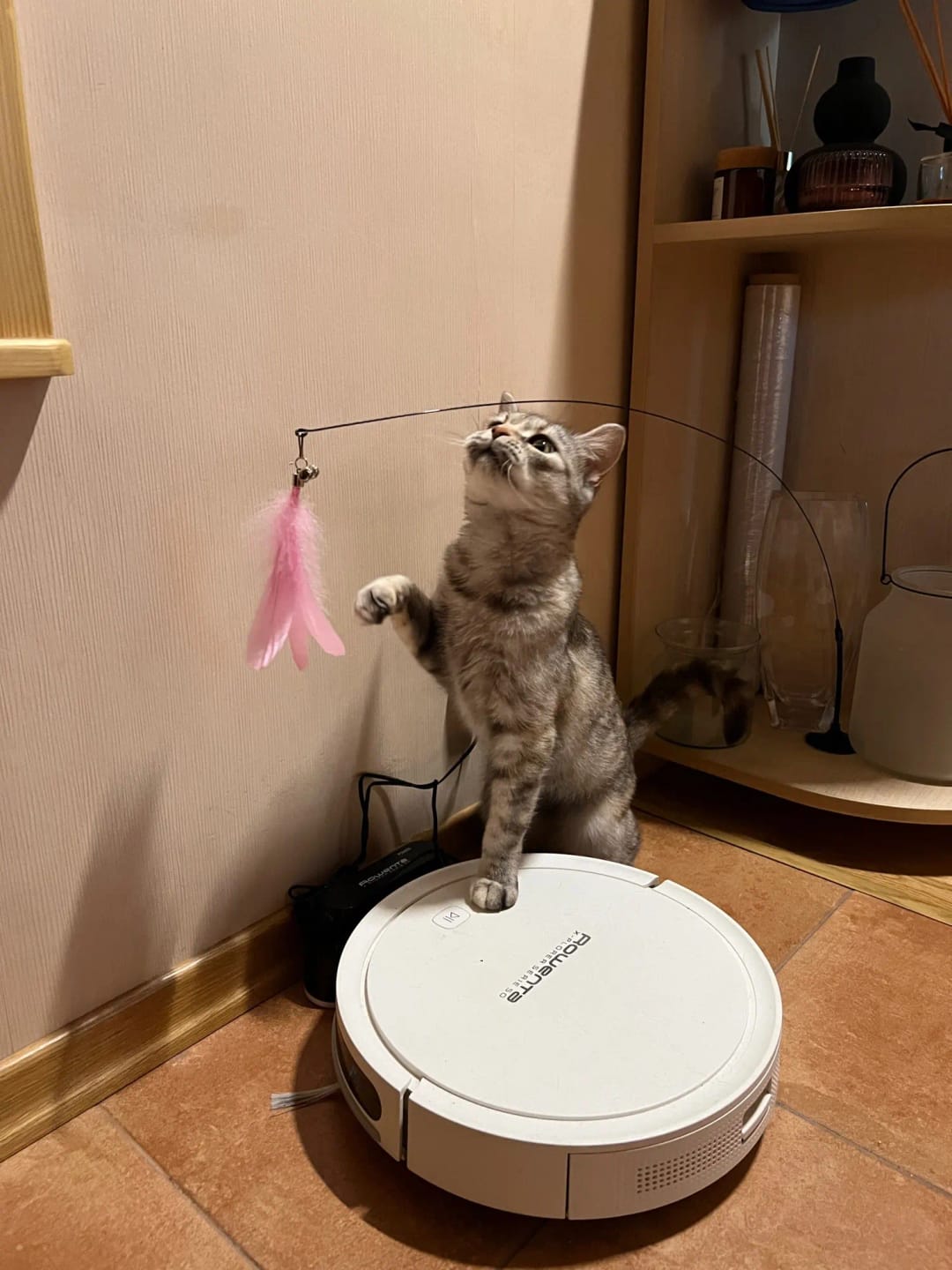 Customer photo review of Simulated Bird Wand Cat Toy