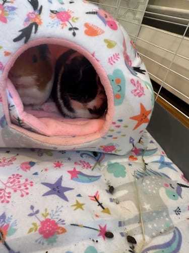 Customer photo review of Homely Fleece Hidey | Unicorn