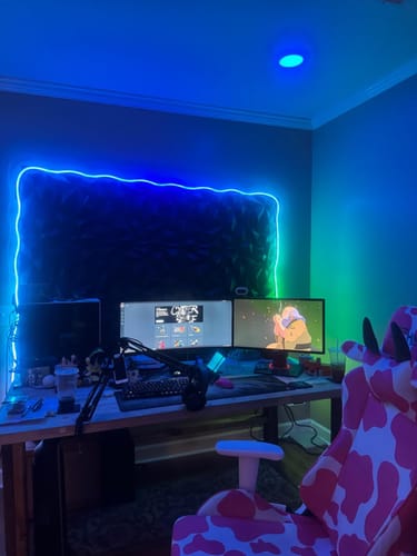 Customer photo review of LitLamp™ LED NEON Rope Light
