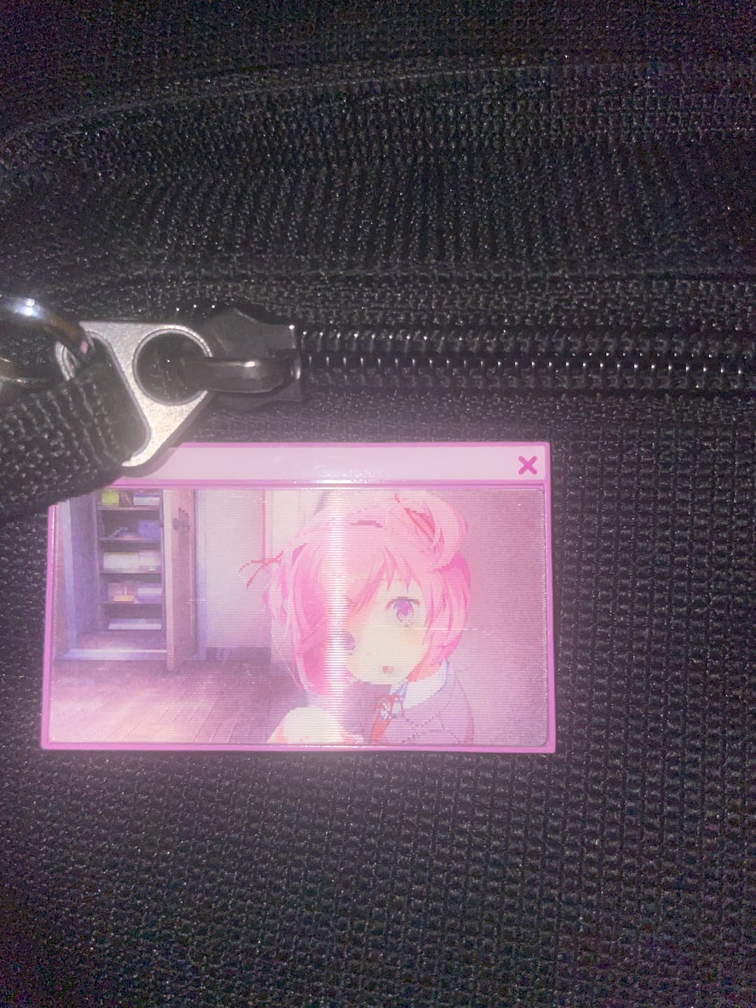 Customer photo review of Doki Doki Literature Club - Window Lenticular Pins