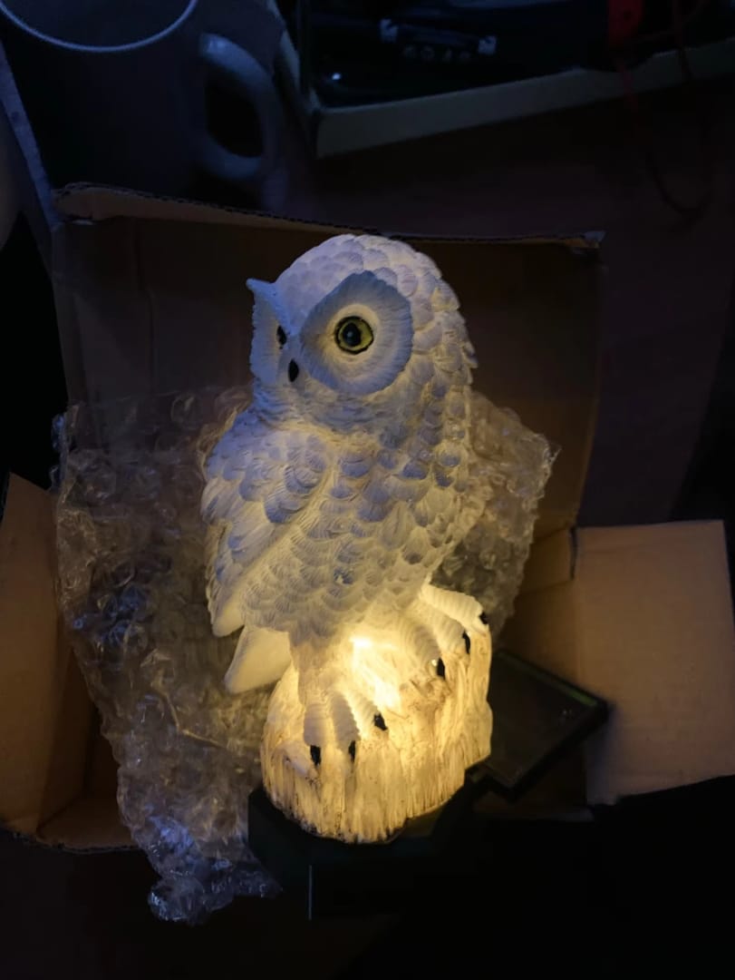 Customer photo review of Solarbetriebene Eulen-Gartenlampe - OwlGlow