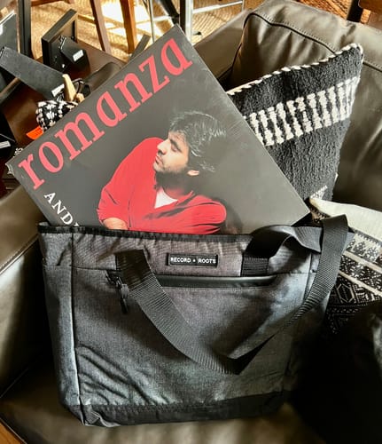 Customer photo review of The Ultimate Vinyl Record Carry Bag V2.0