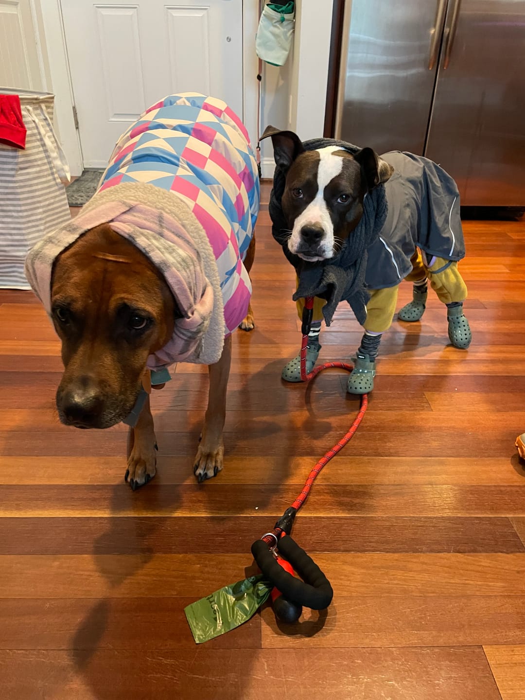 Customer photo review of WagWarmers