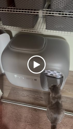 Customer video review of Litter Box Premium Set + Clumping Clay Litter x2