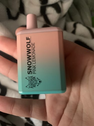 Customer photo review of Snowwolf Mini