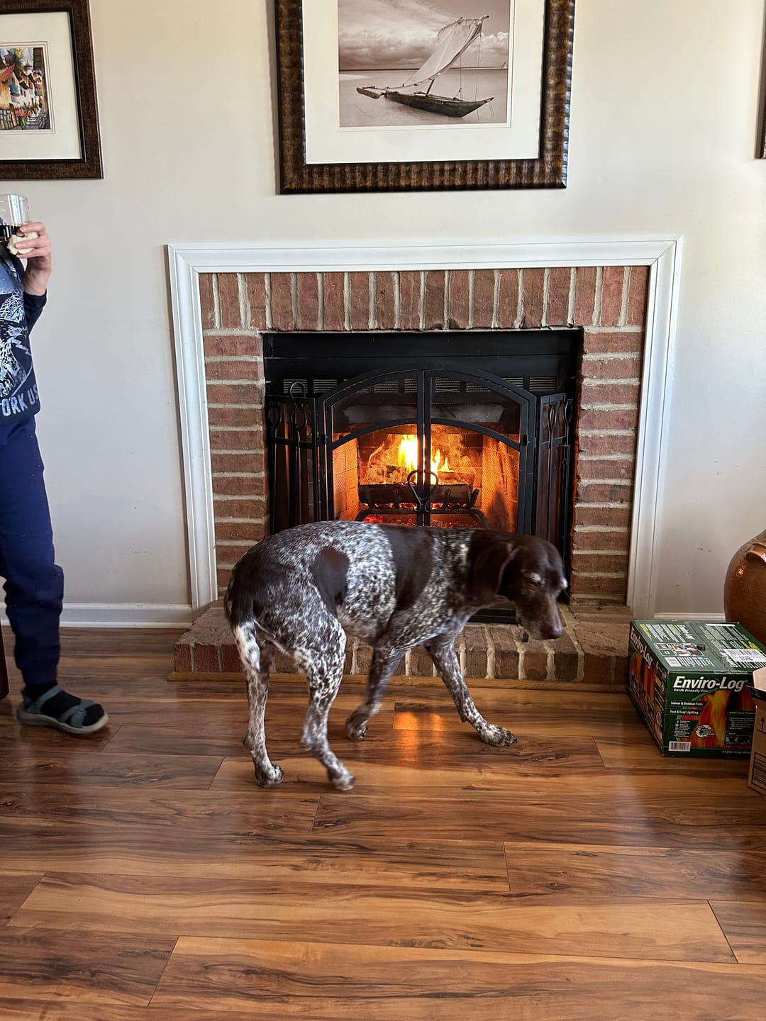 Customer photo review of Professional PLUS Pet Grooming Vacuum Kit