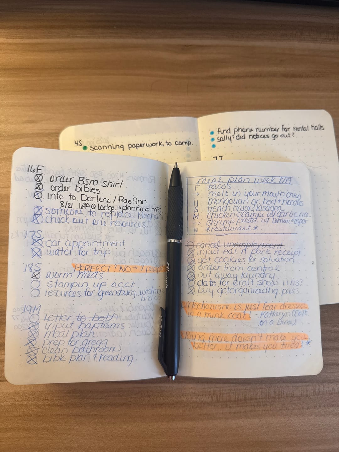 Customer photo review of The Pocket