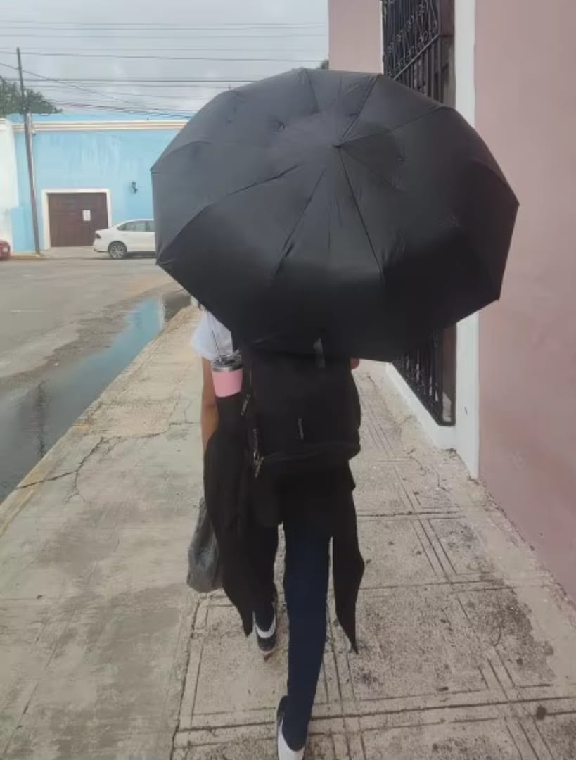 Customer photo review of Winddichter Sturmschirm | Der Regenschirm, der jedem Sturm standhält