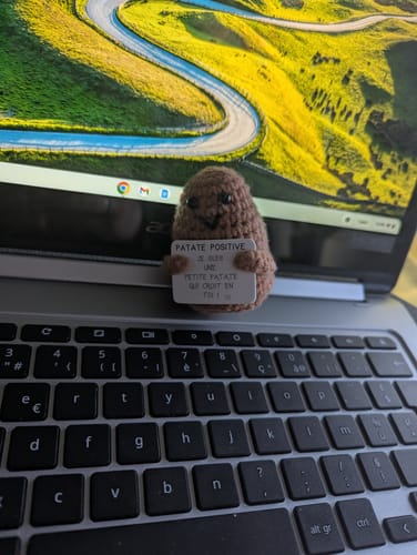 Customer photo review of PATATE POSITIVE