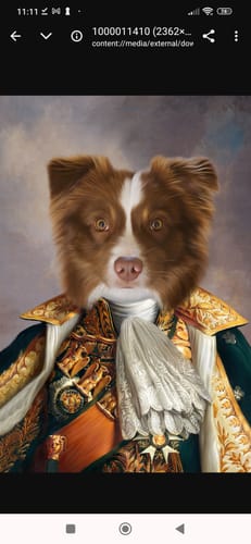 Fotorecensie van een klant over Napoleon