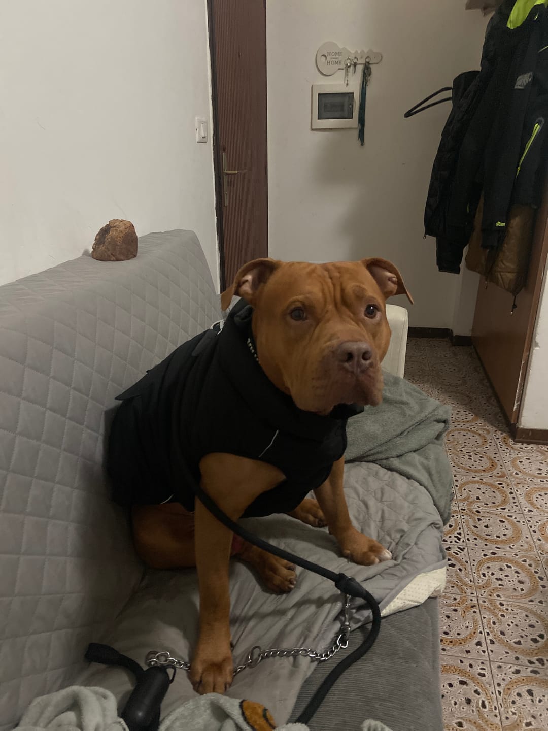 Customer photo review of WarmShield Water-Resistant Jacket - Black