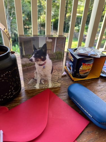 Customer photo review of 12.5 x 17.5 cm Free Standing Acrylic Photo Block