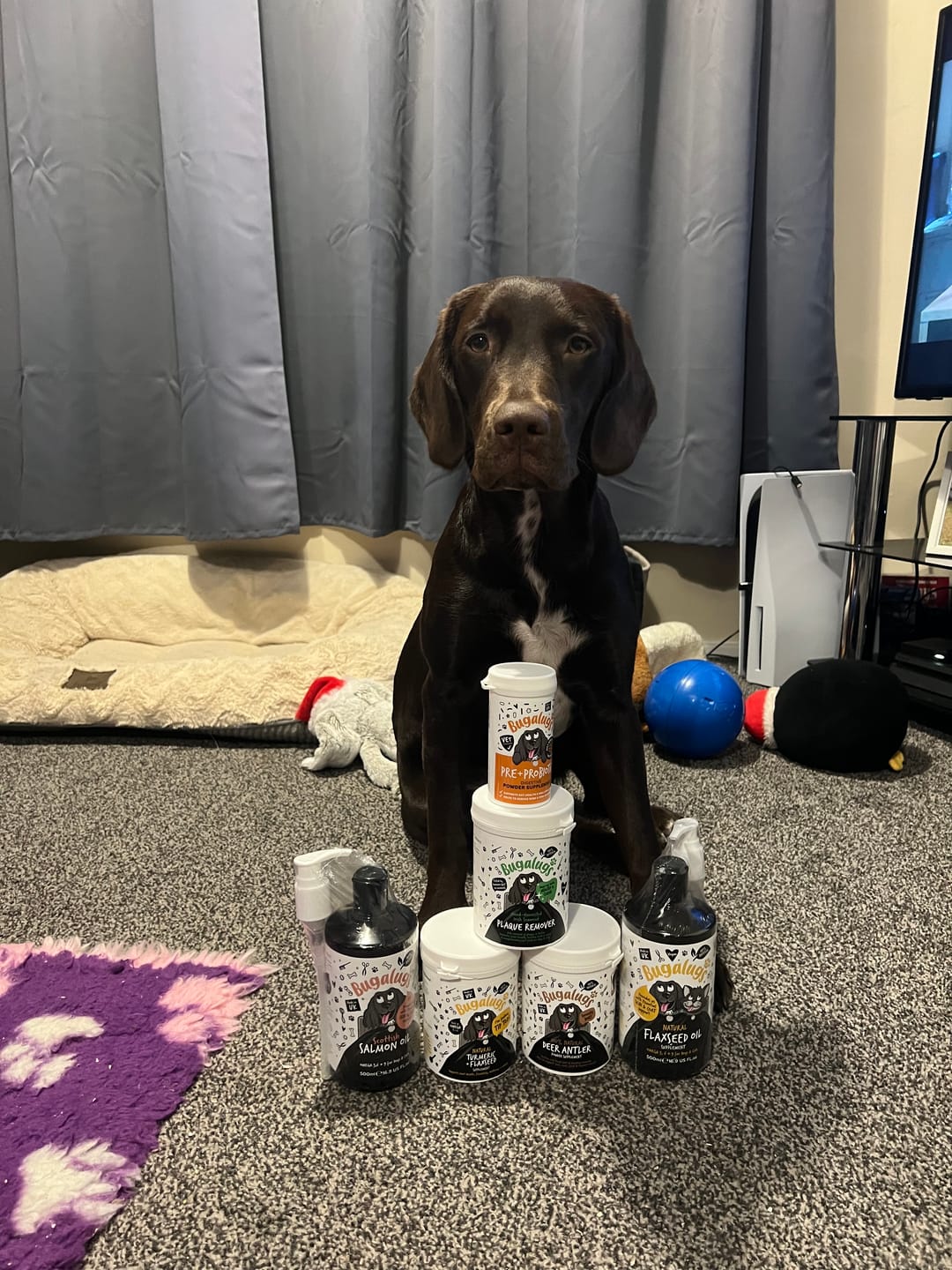 Customer photo review of Scottish Salmon Oil for Dogs & Cats