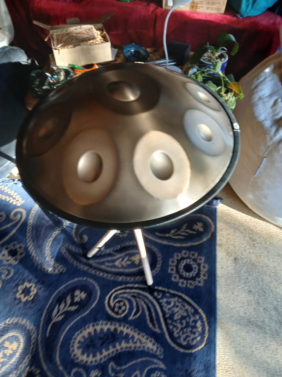 Customer photo review of Handpan 10-Note D Kurd Beginner Gold 432hz 55cm