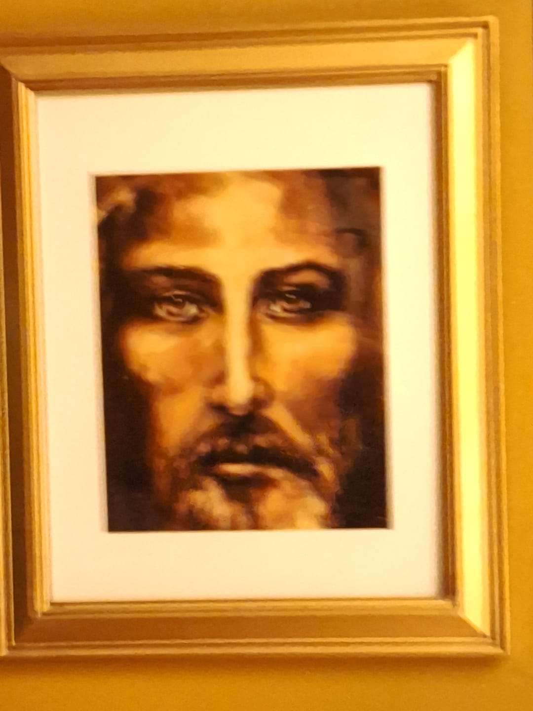 Customer photo review of The Shroud of Turin - Resurrection Light