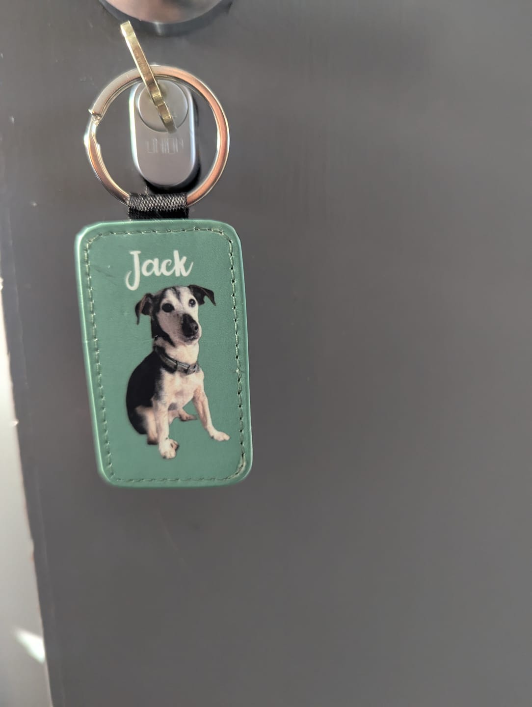 Customer photo review of Pet portrait - Personalised keychain