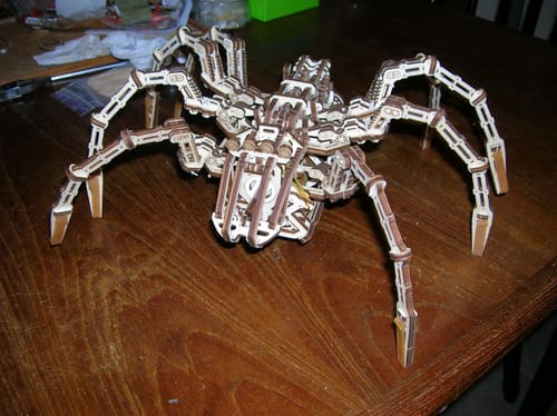 Customer photo review of Space Spider