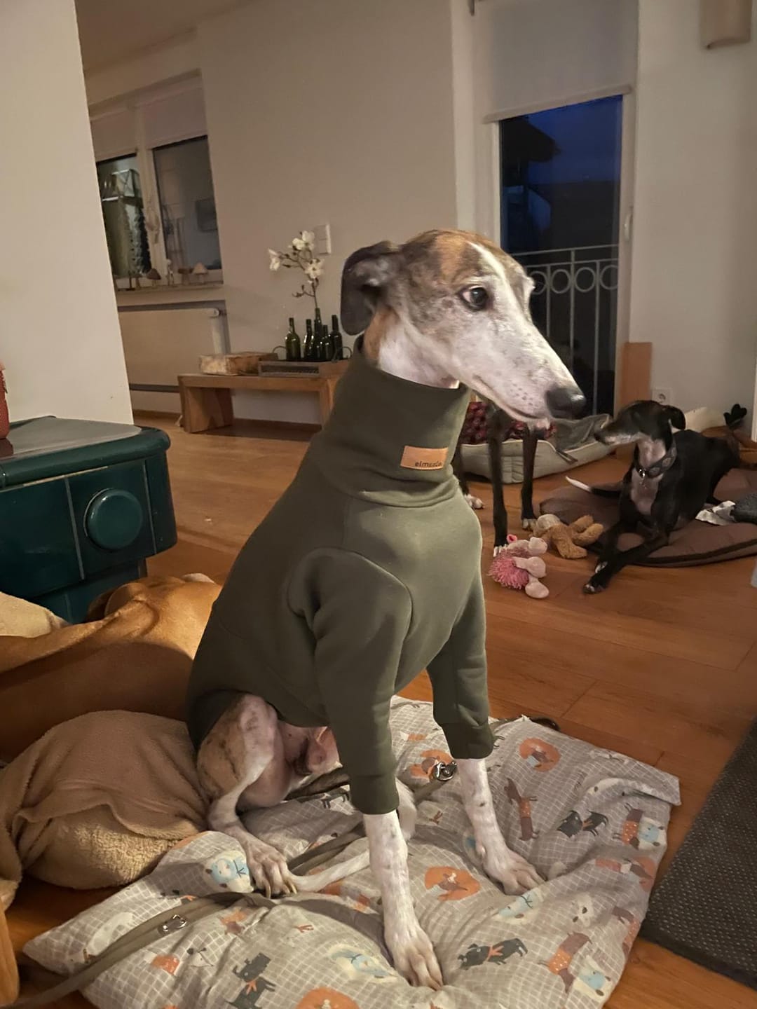 Customer photo review of Aspen "Mountain Green"