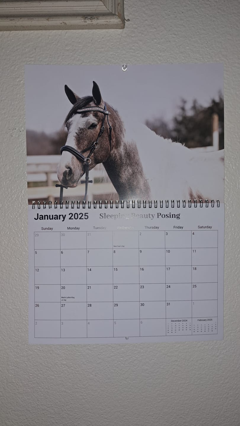 Customer photo review of Free Spirit Equestrian 2025 Calendar