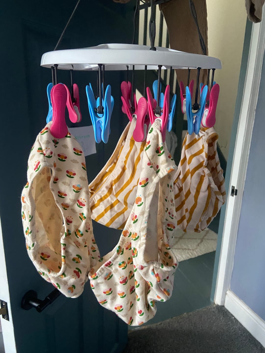 Customer photo review of Little Blooms Organic Underwear Set - 3 Pack