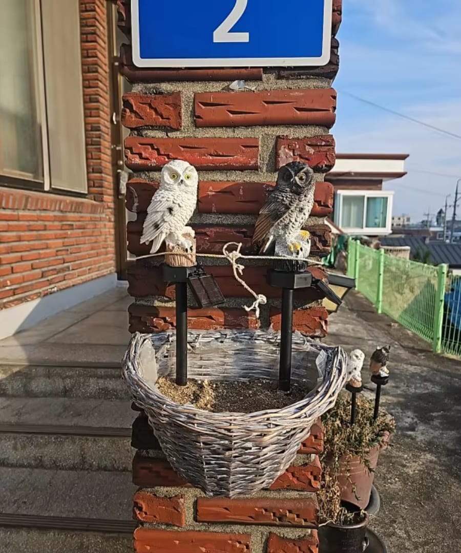 Customer photo review of Solarbetriebene Eulen-Gartenlampe - OwlGlow