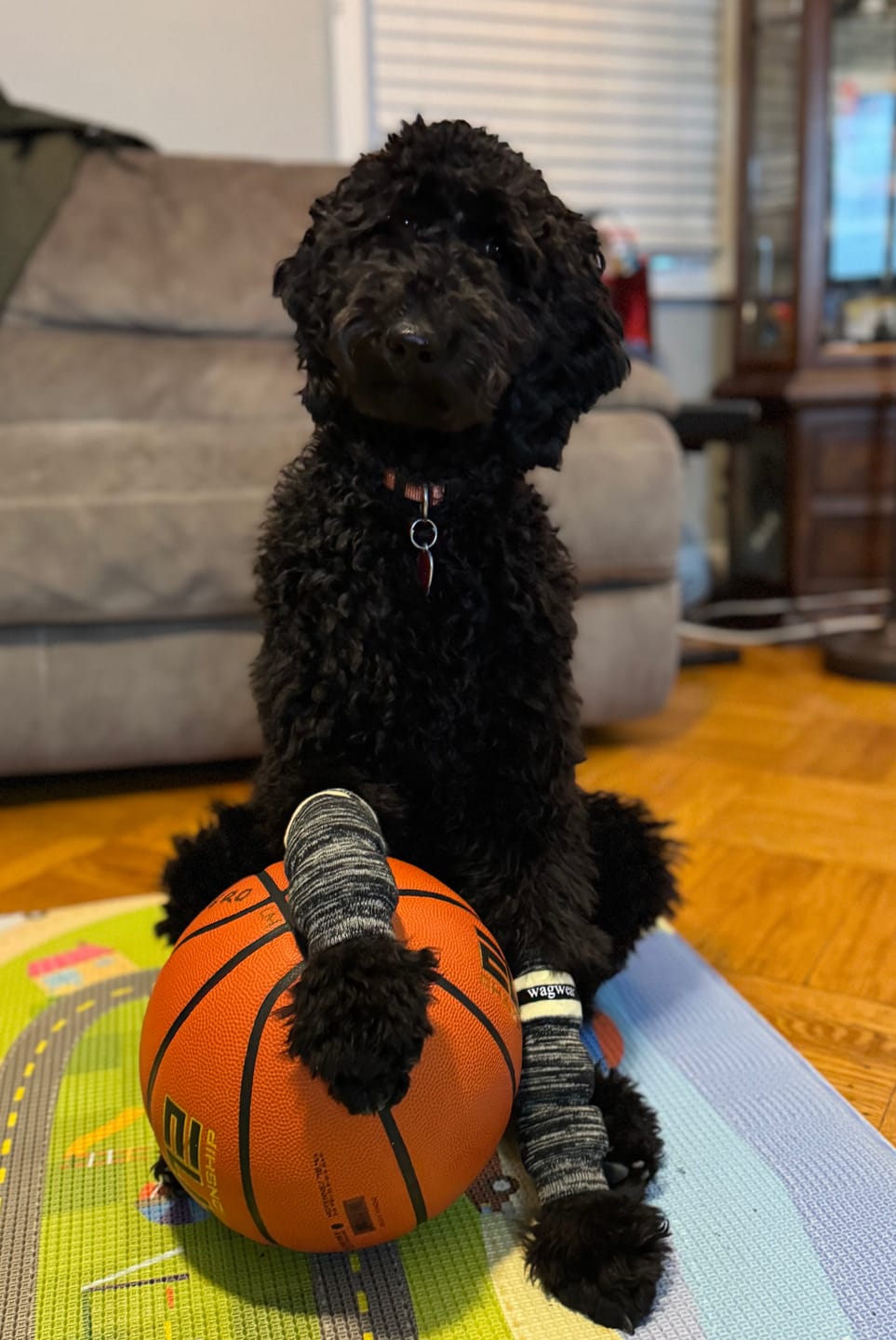 Customer photo review of WagWarmers